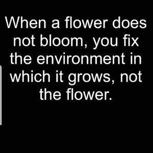 Meet your Posher, Lynette